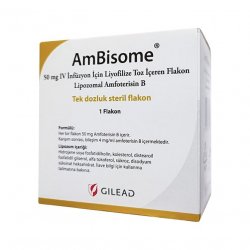 Амбизом (Ambisome) порошок для инъекций 50мг 1шт в Пензе и области фото